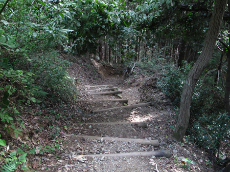 20171005hike (347)